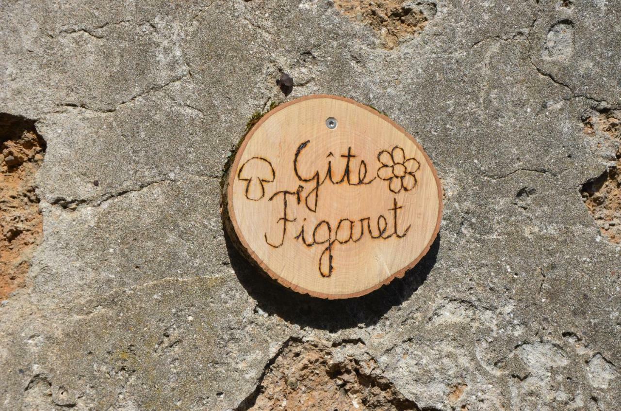 Gite Figaret Saint-Julien-de-la-Nef Buitenkant foto